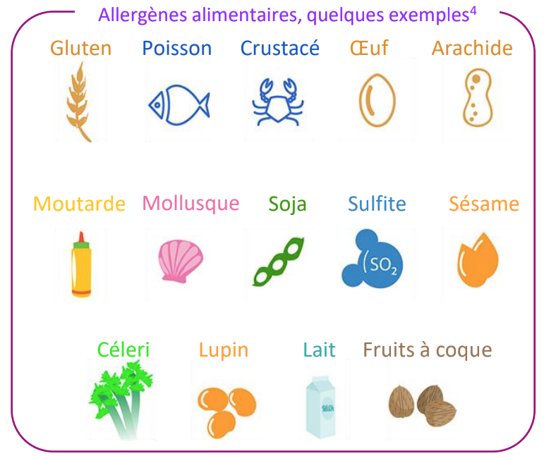 différents allergènes 