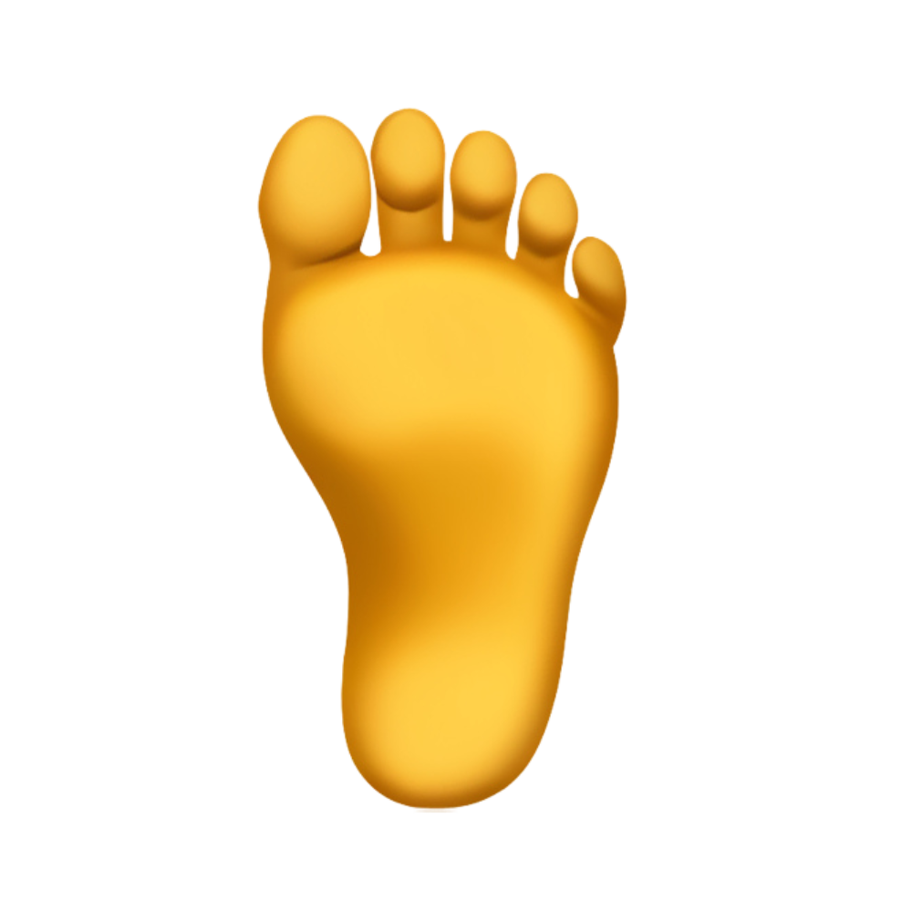 Orthopédie 