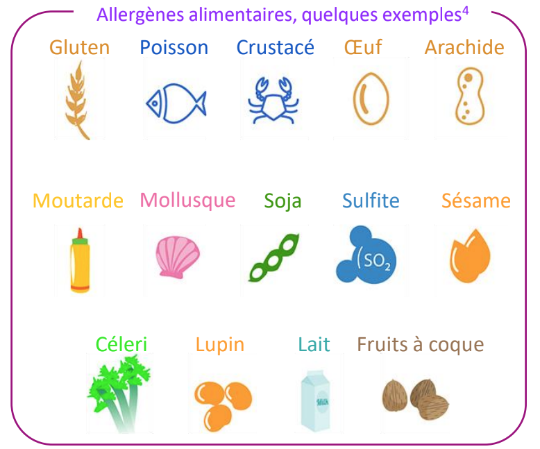 différents allergènes