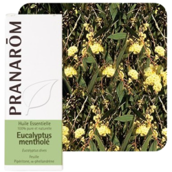 Huile Essentielle Eucalyptus Mentholé Pranarôm -10ml