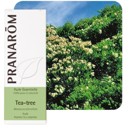 Huile Essentielle Tea-Tree Pranarôm - 10ml