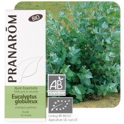 Huile Essentielle Bio Eucalyptus Globuleux Pranarôm - 10ml