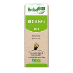 Bouleau Macérat Concentré de bourgeons Bio HerbaGem -&#