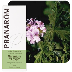Huile Essentielle Géranium d'Égypte Pranarôm -10ml
