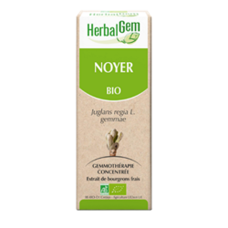 Noyer Macérat de bourgeons Bio HerbalGem - Flacon de&#x