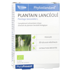 Phytostandard Plantain Lancéolé Complément alimentaire Phyto