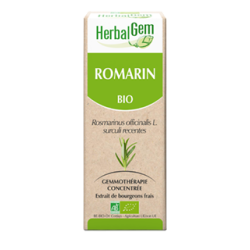 Romarin Macérat de bourgeons Bio HerbalGem - Flacon de 30 mL