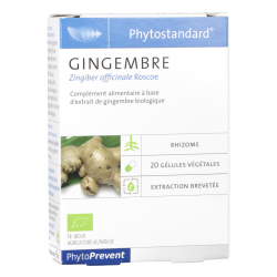 Phytostandard Gingembre Complément alimentaire Phytoprevent Pileje - 20 Gélules