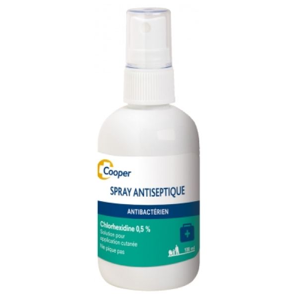 Spray antiseptique Antibactérien 100 ml