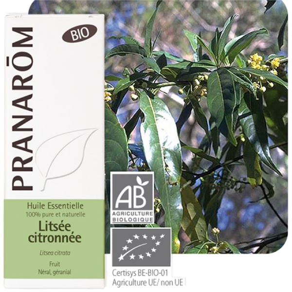 Huile Essentielle Bio Litsée Citronnée Pranarôm - 10ml