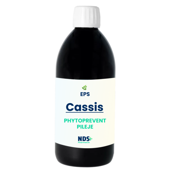 EPS Cassis Plante anti-inflammatoire Pileje