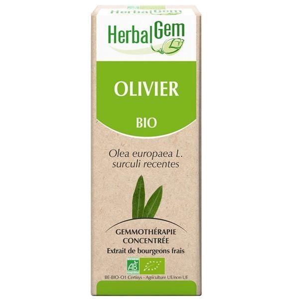 Olivier Macérat concentré de bourgeons Bio HerbalGem - Flacon de 30 mL