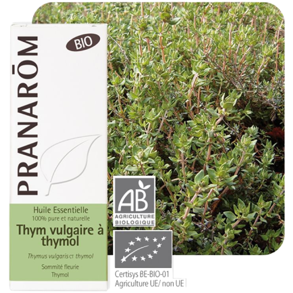 Huile Essentielle Bio Thym vulgaire à Thymol Pranarôm - 5ml