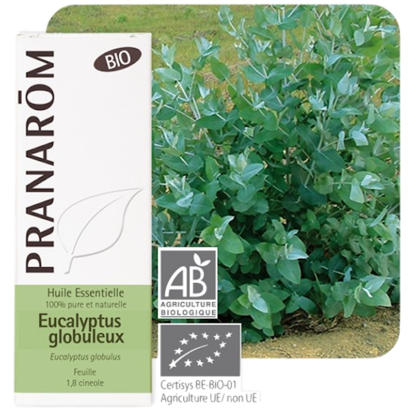 Huile Essentielle Bio Eucalyptus Globuleux Pranarôm - 10ml