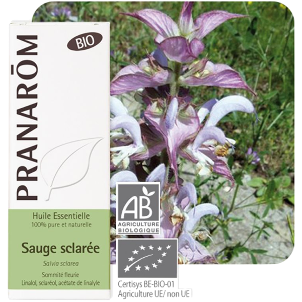 Huile Essentielle Bio Sauge Sclarée Pranarôm - 5ml