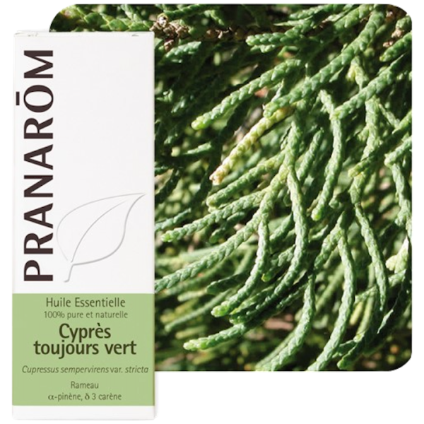 Huile Essentielle Bio Cyprès toujours Vert Pranarôm - 5ml