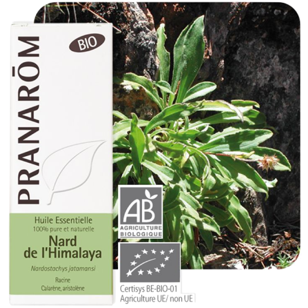 Huile Essentielle Bio Nard de l'Himalaya Pranarôm - 5ml